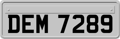 DEM7289