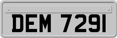 DEM7291