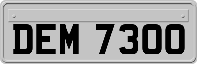 DEM7300