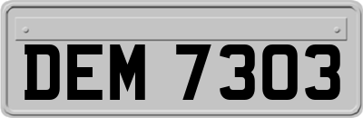 DEM7303