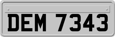 DEM7343