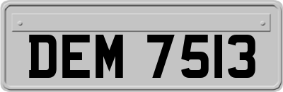 DEM7513