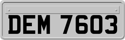 DEM7603