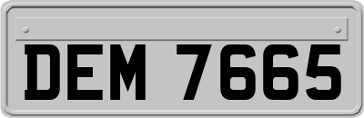 DEM7665