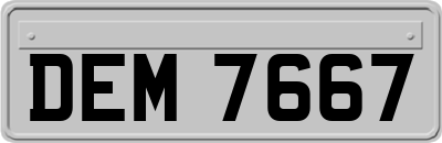 DEM7667