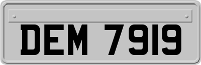 DEM7919