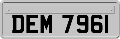 DEM7961