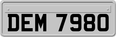 DEM7980