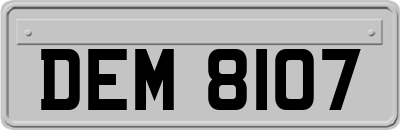 DEM8107