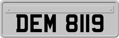 DEM8119