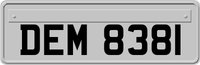 DEM8381
