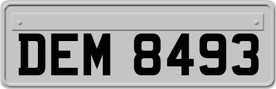 DEM8493