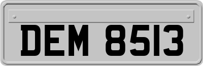 DEM8513
