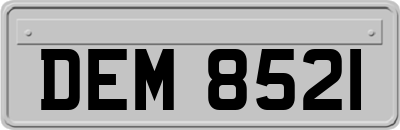DEM8521