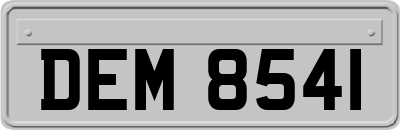DEM8541
