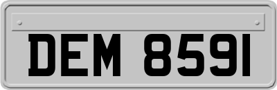 DEM8591