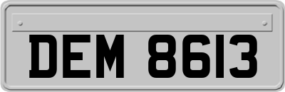 DEM8613