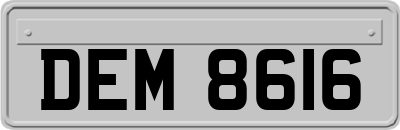 DEM8616