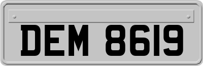 DEM8619