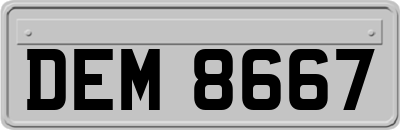 DEM8667