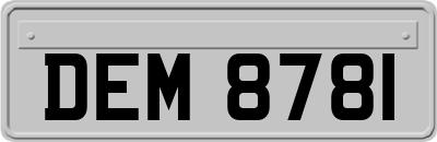 DEM8781
