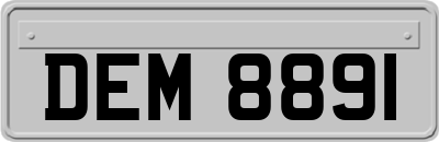 DEM8891