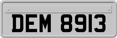 DEM8913