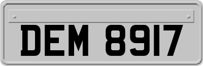DEM8917