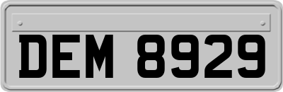 DEM8929