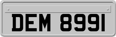 DEM8991