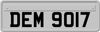 DEM9017