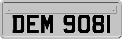 DEM9081
