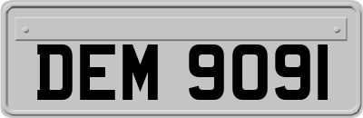 DEM9091