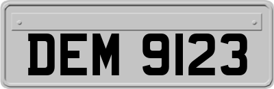 DEM9123