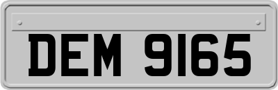 DEM9165