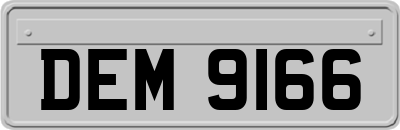 DEM9166