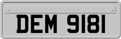DEM9181