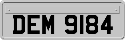 DEM9184