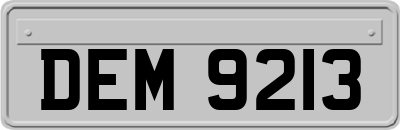 DEM9213