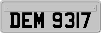DEM9317