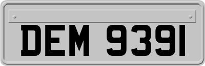 DEM9391