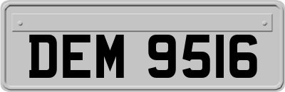 DEM9516