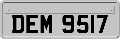 DEM9517