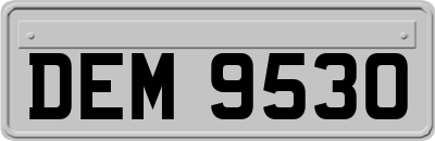 DEM9530