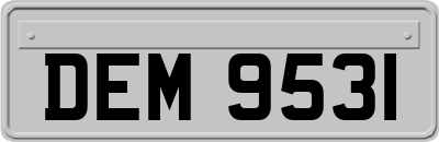 DEM9531