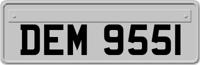 DEM9551