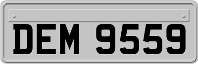 DEM9559