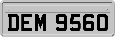 DEM9560