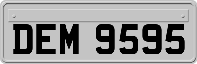 DEM9595