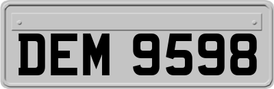 DEM9598